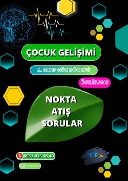 NOKTA ATİŞ SORULAR  (ÖNLİSANS 2. SINIF )